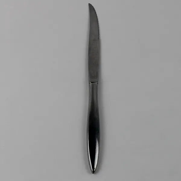 Oneida Silver Wintersong Pattern Stainless Steak Knife 9" Long Rare Serrated