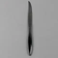 Oneida Silver Wintersong Pattern Stainless Steak Knife 9" Long Rare Serrated