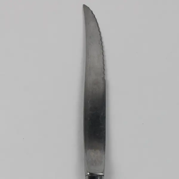 Oneida Silver Wintersong Pattern Stainless Steak Knife 9" Long Rare Serrated