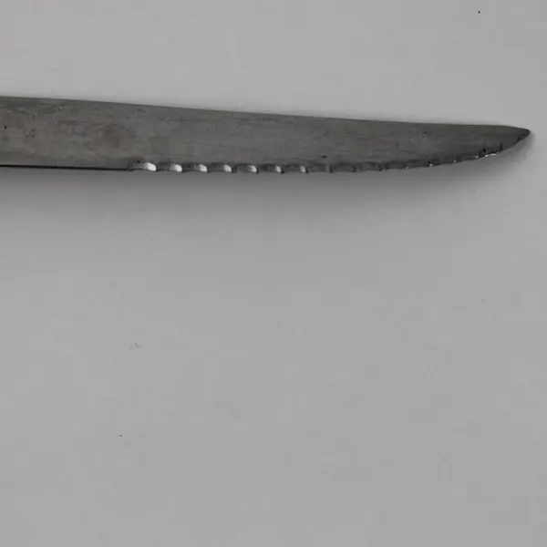 Oneida Silver Wintersong Pattern Stainless Steak Knife 9" Long Rare Serrated