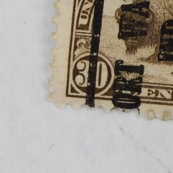 US Buffalo 30 Cents Stamp Used Fort Wayne Indiana Precancel 1920s