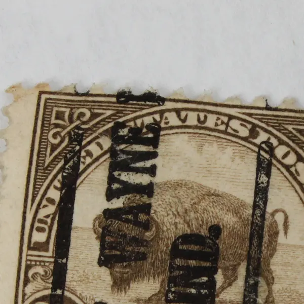 US Buffalo 30 Cents Stamp Used Fort Wayne Indiana Precancel 1920s