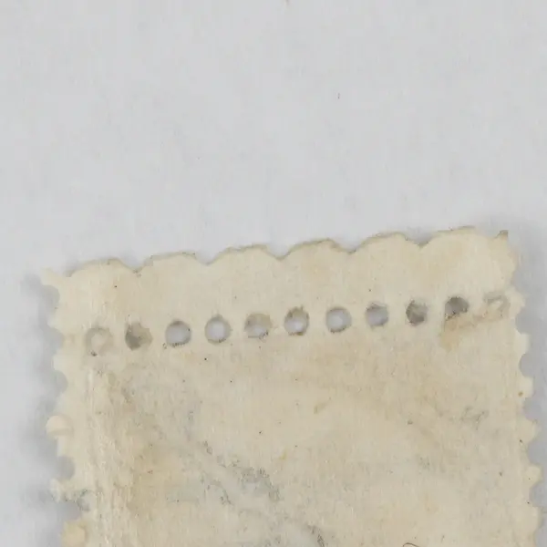 US Buffalo 30 Cents Stamp Used Fort Wayne Indiana Precancel 1920s