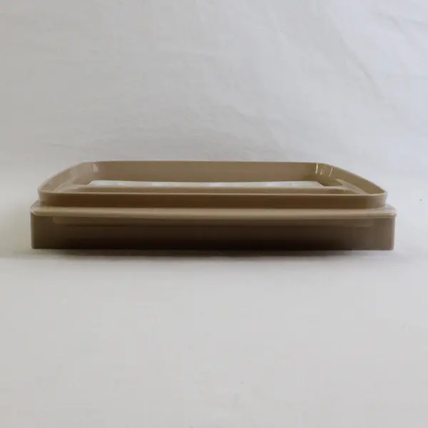 Vintage Tupperware Deviled Egg Carrier Tray Almond #723