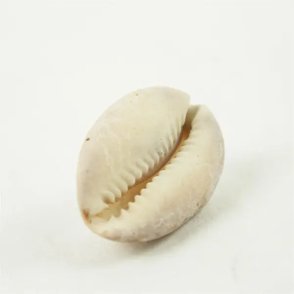 Lot of 15 Natural Rocks- Mixed Rocks for Crafts Display Collection