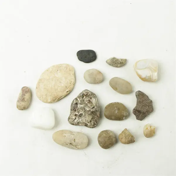 Lot of 15 Natural Rocks- Mixed Rocks for Crafts Display Collection