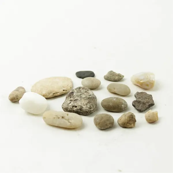 Lot of 15 Natural Rocks- Mixed Rocks for Crafts Display Collection