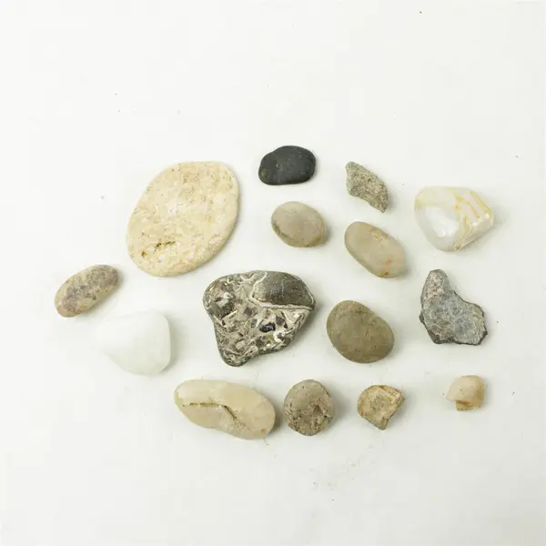 Lot of 15 Natural Rocks- Mixed Rocks for Crafts Display Collection