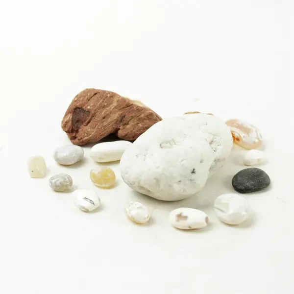 Lot of 15 Natural Rocks- Mixed Rocks for Crafts Display Collection