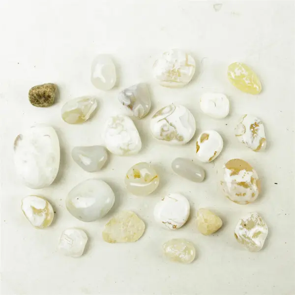 Lot of 24 Natural Rocks- Mixed Rocks for Crafts Display Collection