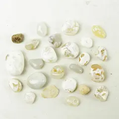 Lot of 24 Natural Rocks- Mixed Rocks for Crafts Display Collection