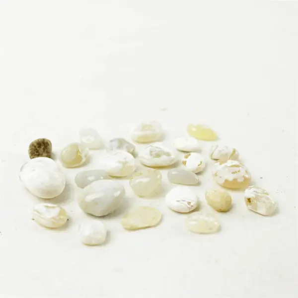 Lot of 24 Natural Rocks- Mixed Rocks for Crafts Display Collection