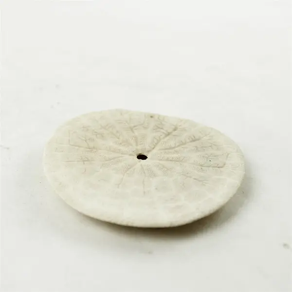 Lot of 7 Sand Dollars Beach Decor Collectible Shells