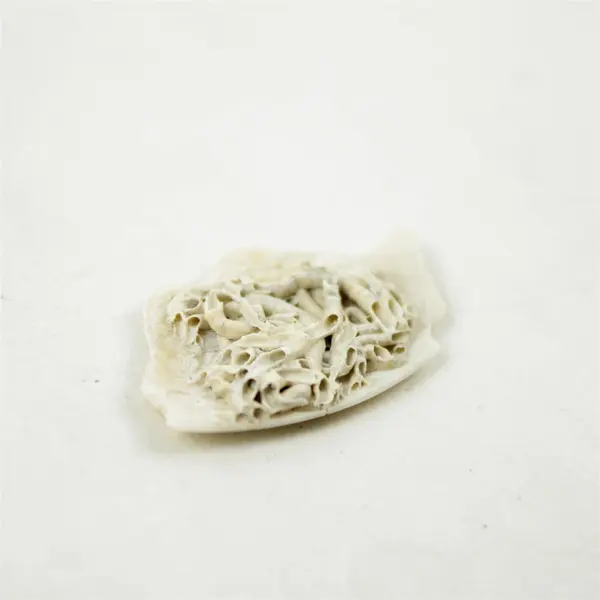 Bag of Broken Seashells for Jewelry Crafts Mosaic Assorted Natural