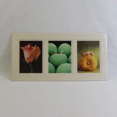 VTG Portal Publications Double Matted Infant Photographs Anne Geddes 10" x 20"