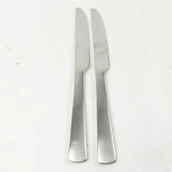 Lot of 2 Oneida Silver Aptitude Pattern 18/0 Stainless Dinner Knives 9.5" Good