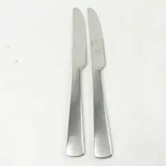 Lot of 2 Oneida Silver Aptitude Pattern 18/0 Stainless Dinner Knives 9.5" Good