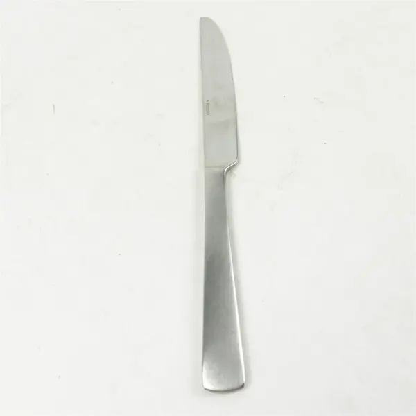 Lot of 2 Oneida Silver Aptitude Pattern 18/0 Stainless Dinner Knives 9.5" Good