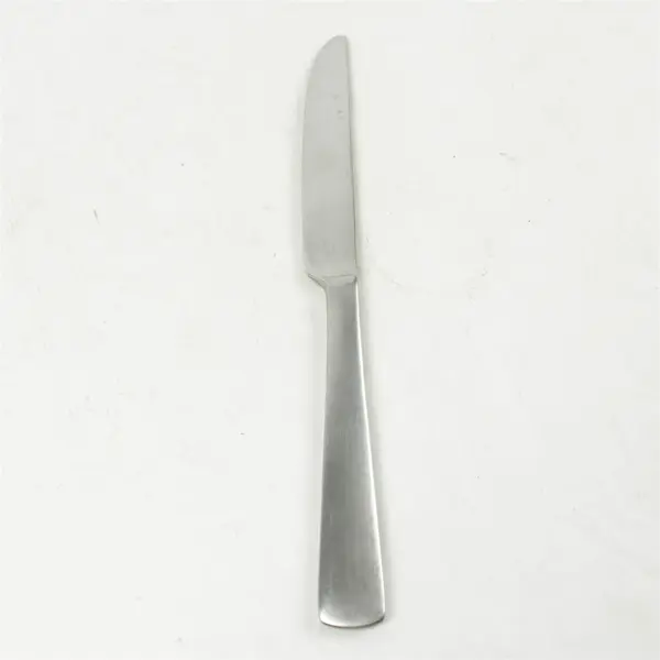 Lot of 2 Oneida Silver Aptitude Pattern 18/0 Stainless Dinner Knives 9.5" Good