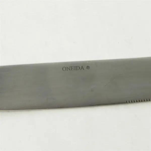 Lot of 2 Oneida Silver Aptitude Pattern 18/0 Stainless Dinner Knives 9.5" Good