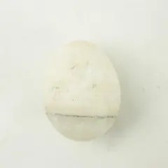 Polished Stone Egg Decorative Mineral Specimen Crystal Collector Gift