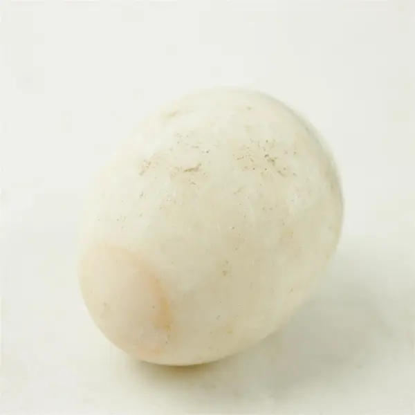 Polished Stone Egg Decorative Mineral Specimen Crystal Collector Gift