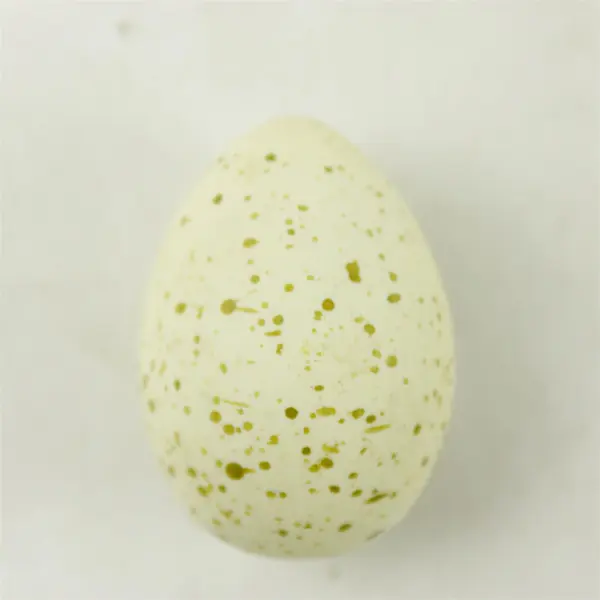 Speckled Yellow Egg-Shaped Mineral Rock Specimen Collectible