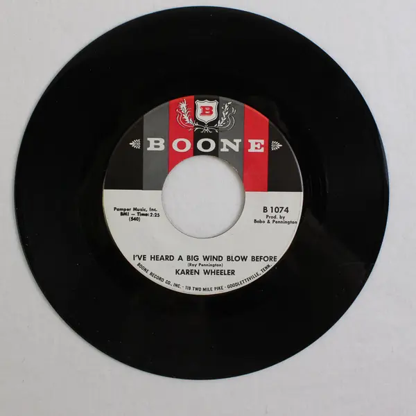Karen Wheeler Boone Record Company The Best of Two Worlds 7" Vinyl 1074