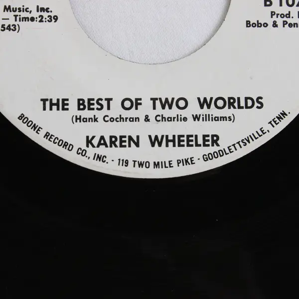 Karen Wheeler Boone Record Company The Best of Two Worlds 7" Vinyl 1074