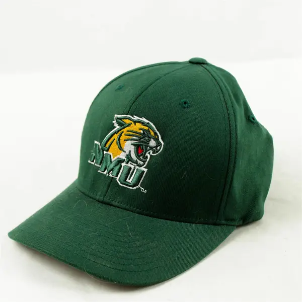 Northern Michigan Wildcats Fitted Hat SM/M Green NCAA Football Logo Cap