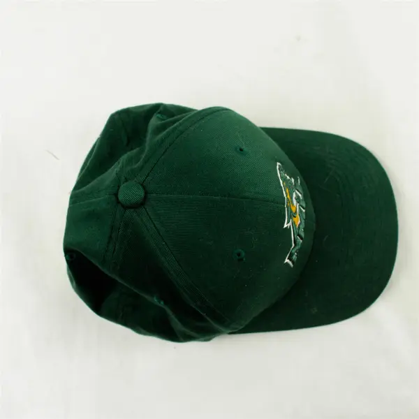 Northern Michigan Wildcats Fitted Hat SM/M Green NCAA Football Logo Cap