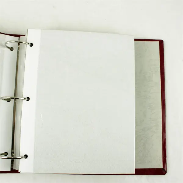 Burgundy 49-Page 3-Ring Photo Album Removable Pages 11.5x11x3in
