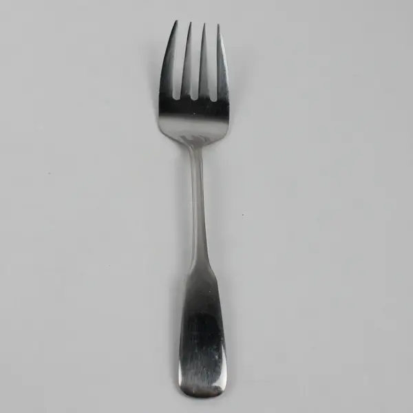 Ski & Sea Pattern 18/8 SS Unknown Manufacturer Salad Serving Fork 8.5" Rare HTF