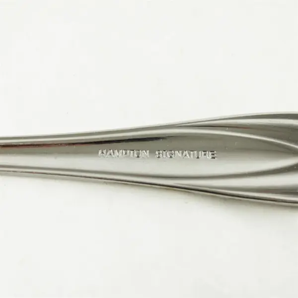 Lot of 2 Hampton Signature Stainless Lace Frosted Pierced Serving Spoons