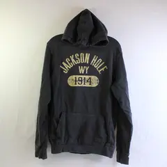 Outfitter Trading Co. Men's S Gray Jackson Hole WY Graphic Hoodie Sweatshirt