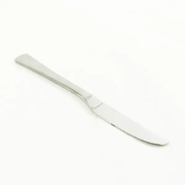 Lot of 4 Oneida Butler Toronto Stainless Modern Dinner Knives 9.25in