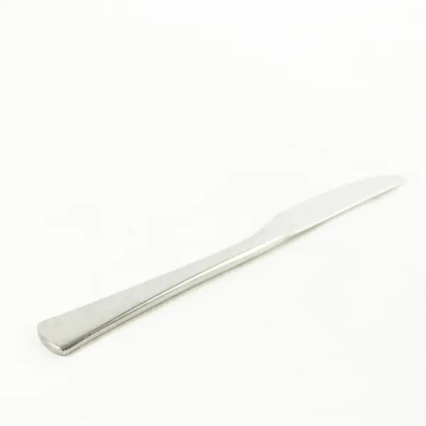 Lot of 4 Oneida Butler Toronto Stainless Modern Dinner Knives 9.25in