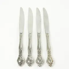 Lot of 4 Oneida Affection Stainless Hollow Handle Modern Dinner Knives