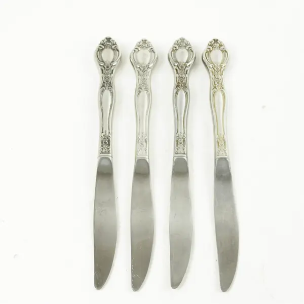 Lot of 4 Oneida Affection Stainless Hollow Handle Modern Dinner Knives