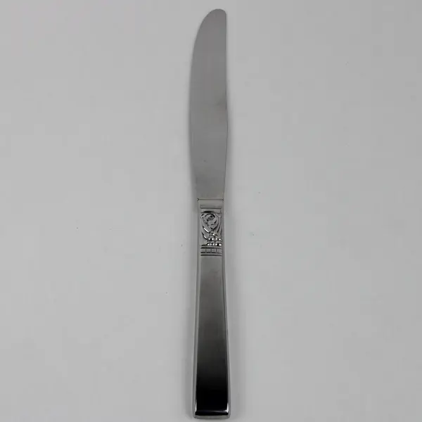 Oneida Silver Brookwood Pattern Stainless Dinner Knife 9" long 4.5" Blade Rare 
