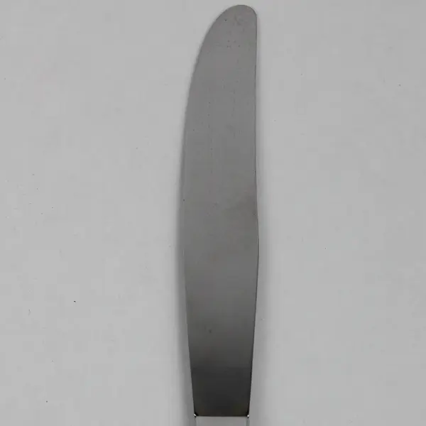 Oneida Silver Brookwood Pattern Stainless Dinner Knife 9" long 4.5" Blade Rare 