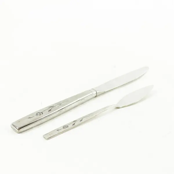 Lot of 5 Oneida Capastrano Stainless Hollow Knives + Flat Butter Knife