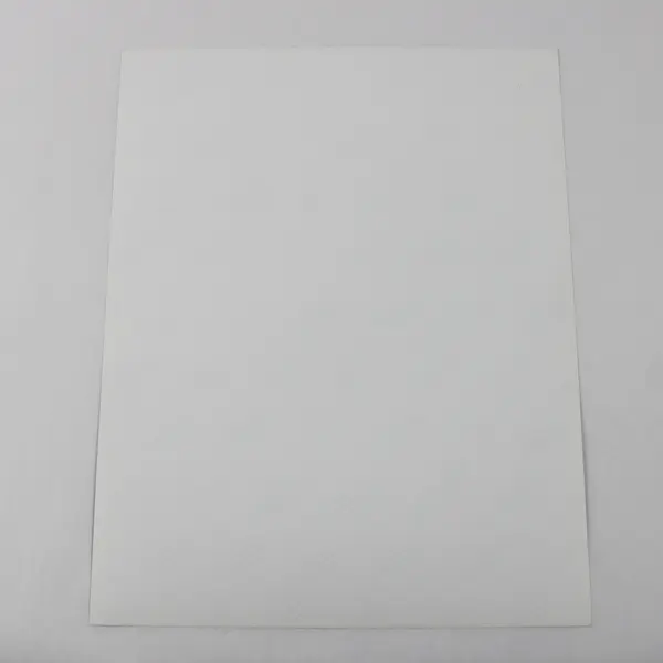 Vintage Black And White Photo Frosty Park Scene Pacific Northwest 11X14