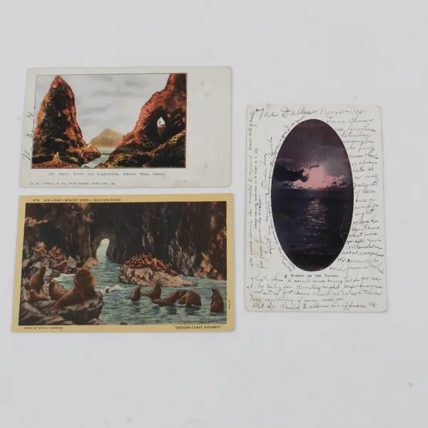 Lot Of 3 VTG Oregon Coast Postcards Heceta Head Sea Lion Caves Pacific Sunset