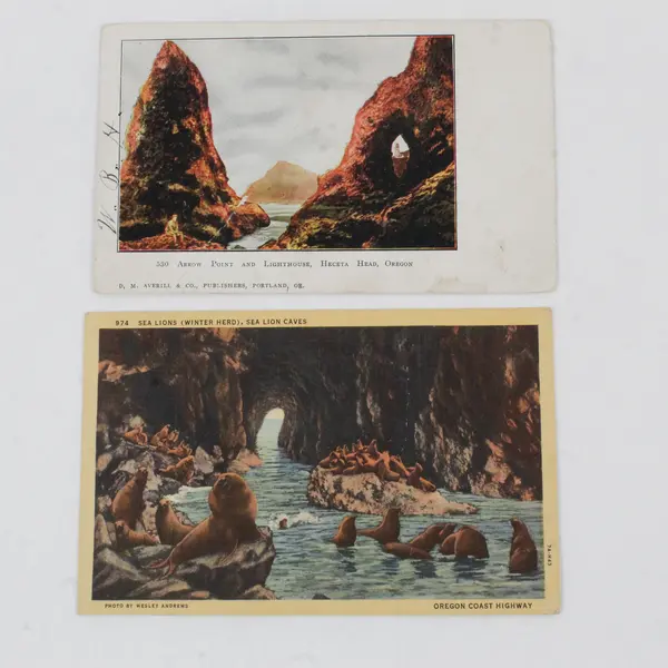 Lot Of 3 VTG Oregon Coast Postcards Heceta Head Sea Lion Caves Pacific Sunset