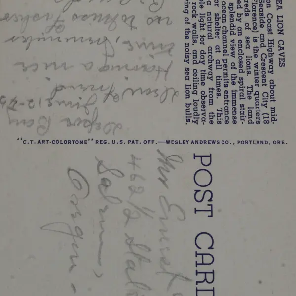 Lot Of 3 VTG Oregon Coast Postcards Heceta Head Sea Lion Caves Pacific Sunset