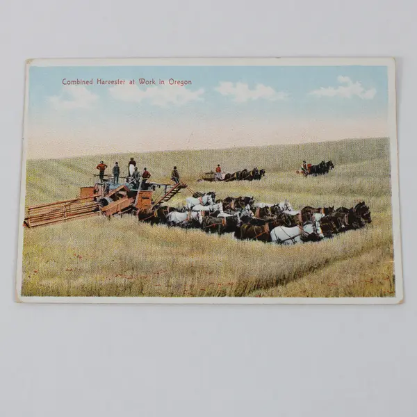 Vintage Combined Harvester At Work In Oregon Lithograph Postcard J.K. Gill Co