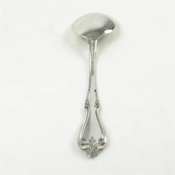 Lot of 2 Oneida Briarwood Stainless Steel Sugar Spoons