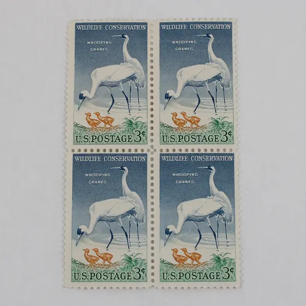 Lot Of 2 US 4 Stamp Blocks Wildlife Conservation 1957 Flowers 1981 MNH