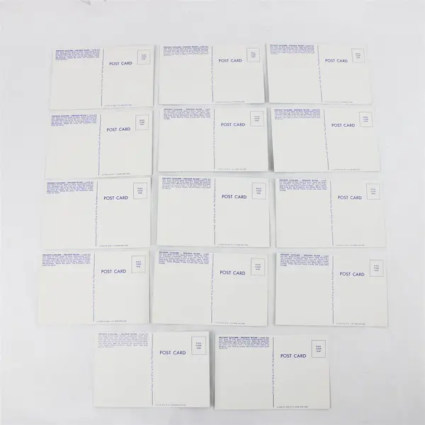 Lot of 14 Blank Ship Postcards SS President Cleveland SS President Wilson 